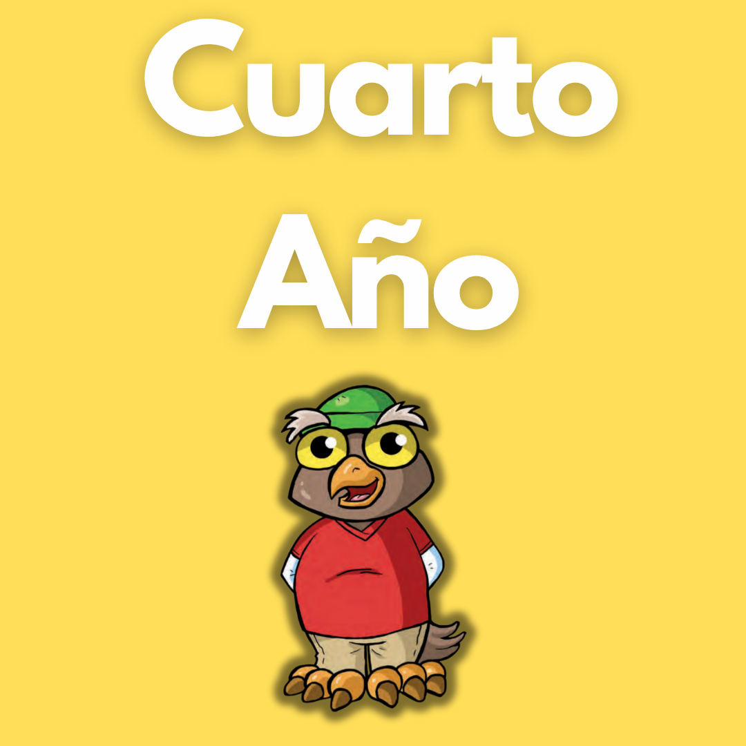 Cuarto grado