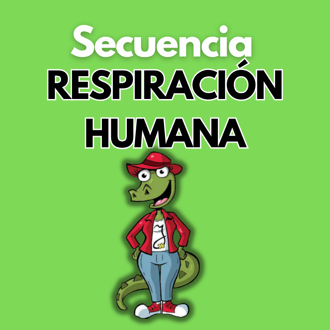 Secuencia Didáctica: Respiración humana. Quinto grado