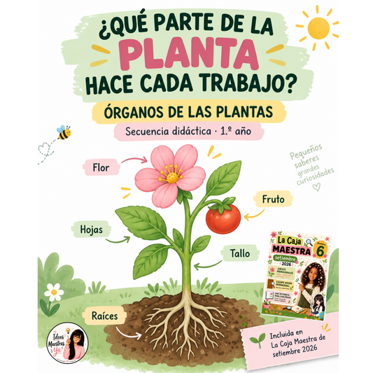 Secuencia Didáctica: Los órganos de la planta. Primer grado. (Recurso que pertenece a Caja Maestra de Setiembre 2026)