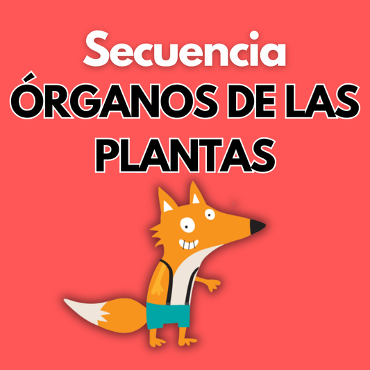 Secuencia Didáctica: Órganos de la planta. Primer grado.