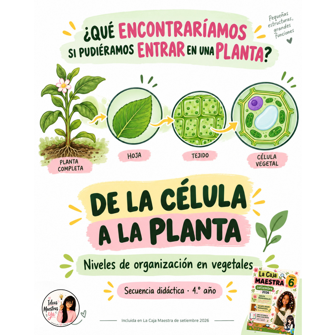 Secuencia Didáctica: Tejidos y células vegetales. Cuarto grado. (Recurso que pertenece a Caja Maestra de Setiembre 2026)