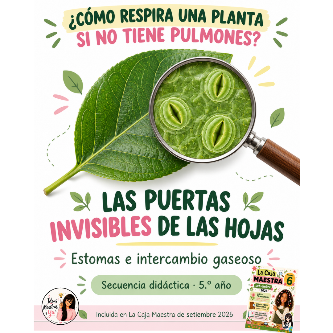 Secuencia Didáctica: La respiración en las plantas. Quinto grado. (Recurso que pertenece a Caja Maestra de Setiembre 2026)