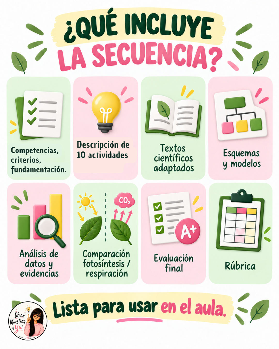 Secuencia Didáctica: Fotosíntesis. Sexto grado. (Recurso que pertenece a Caja Maestra de Setiembre 2026)